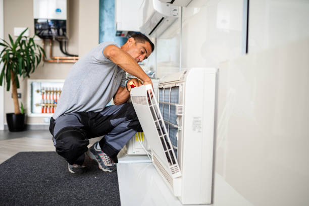 Best Air Duct Sanitizing Services  in Franklin Furnace, OH