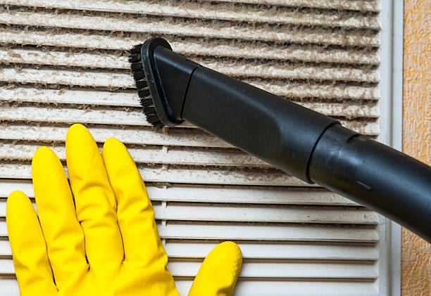Best Professional Duct Cleaning Services  in Franklin Furnace, OH